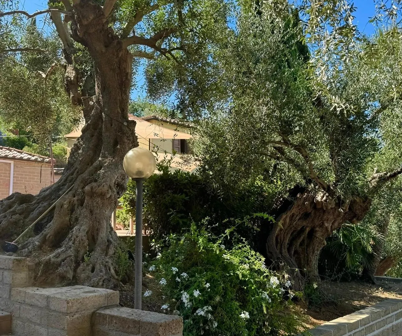 Madonna Del Poggio Cav Apart otel Scarlino İtalya